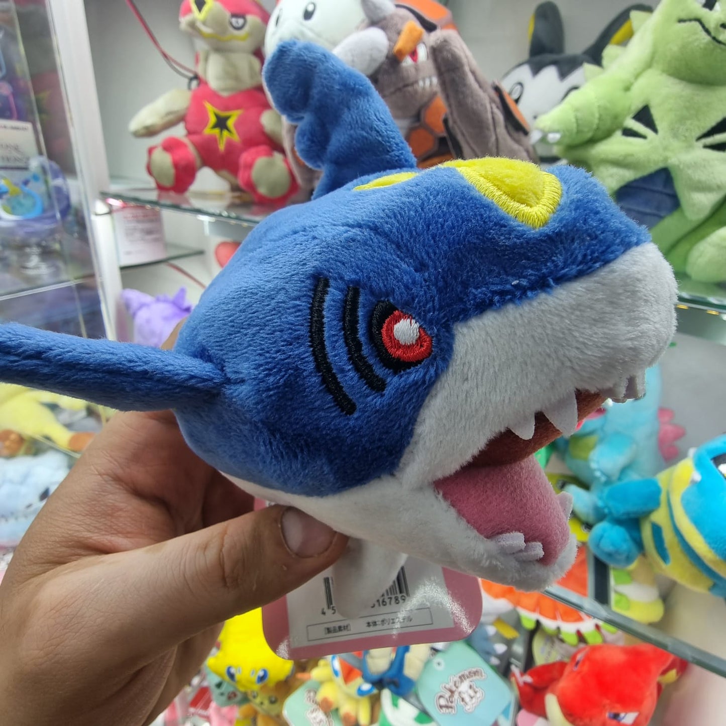 Peluche Pokemon Center Fit