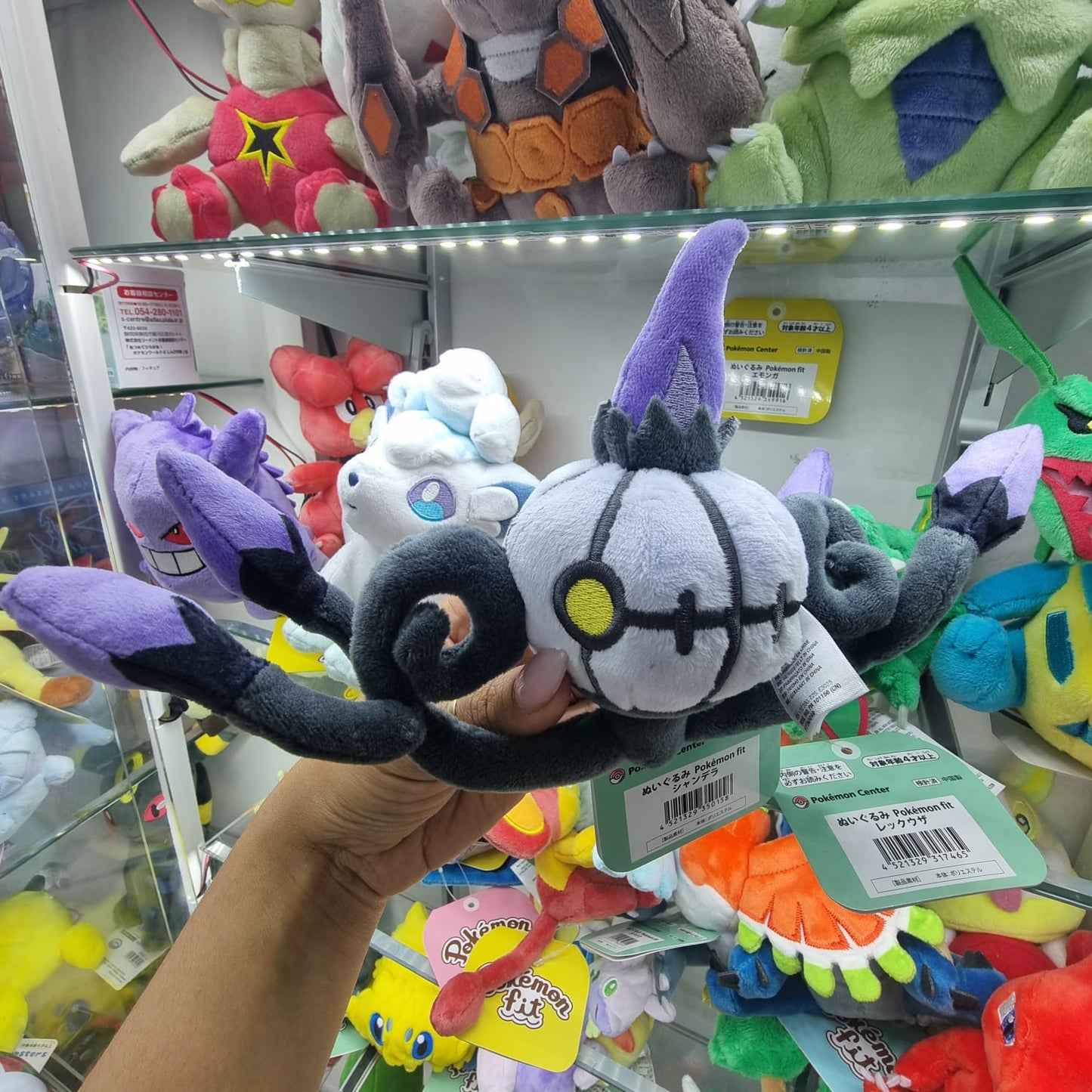 Peluche Pokemon Center Fit