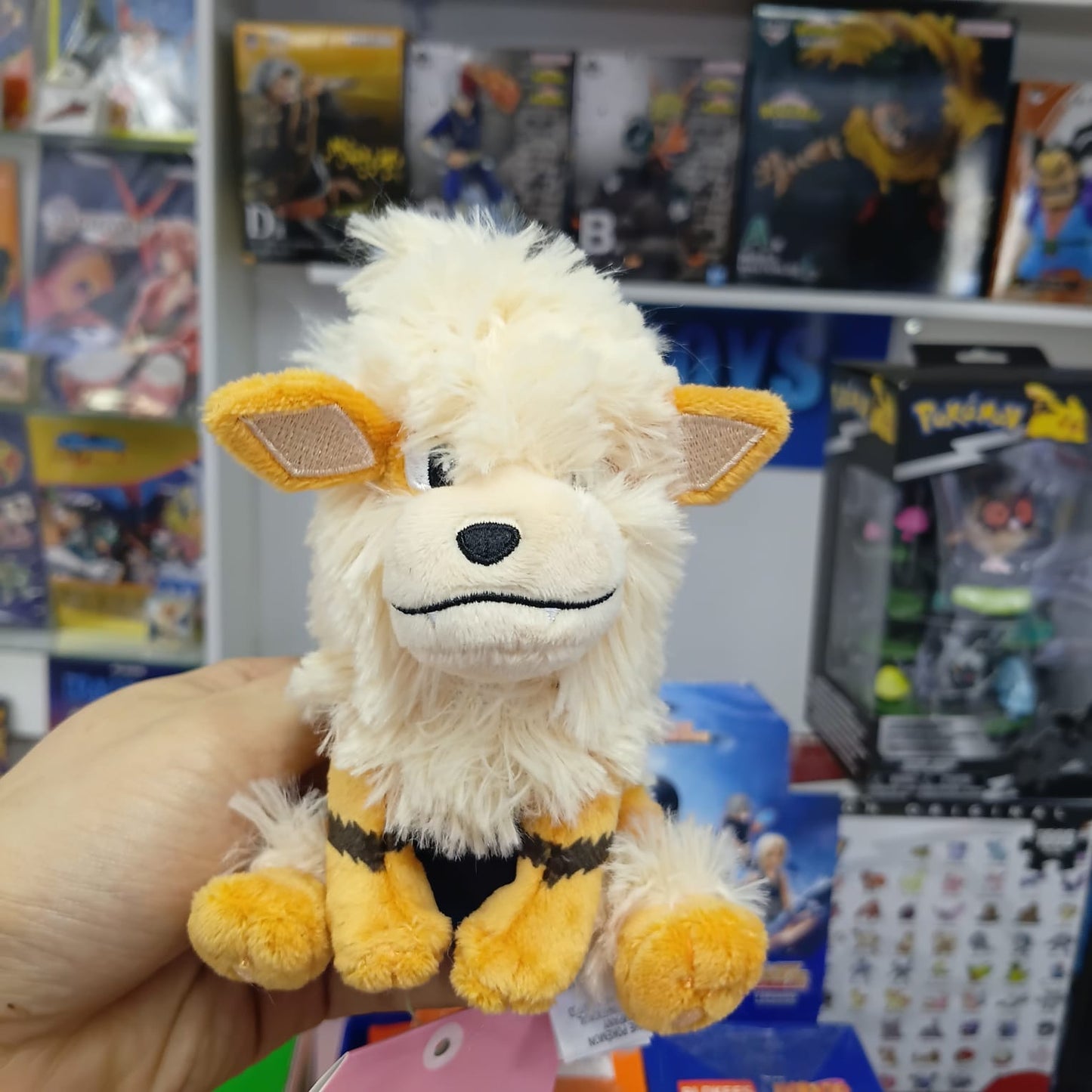Peluche Pokemon Center - Fit