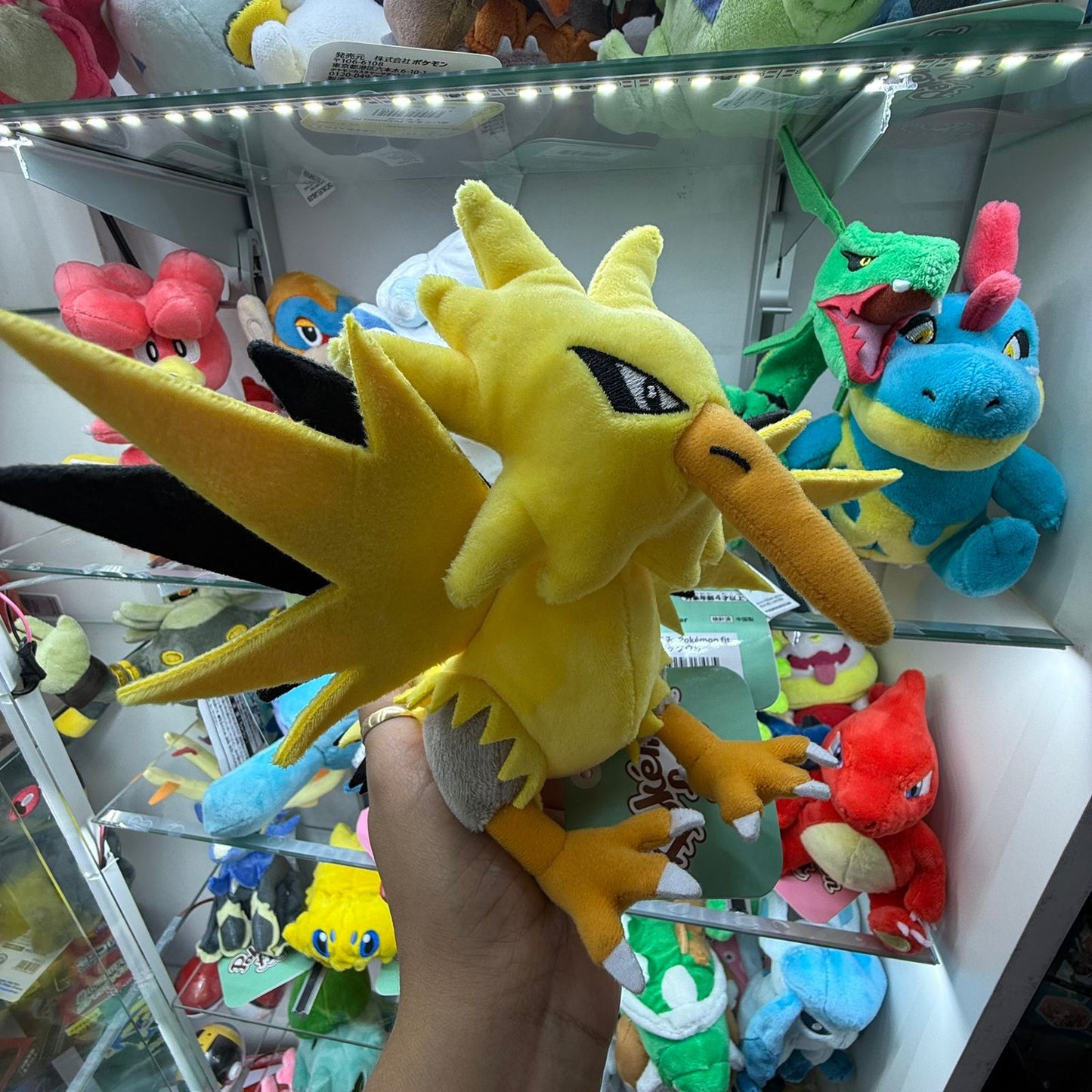 Peluche Pokemon Center Fit