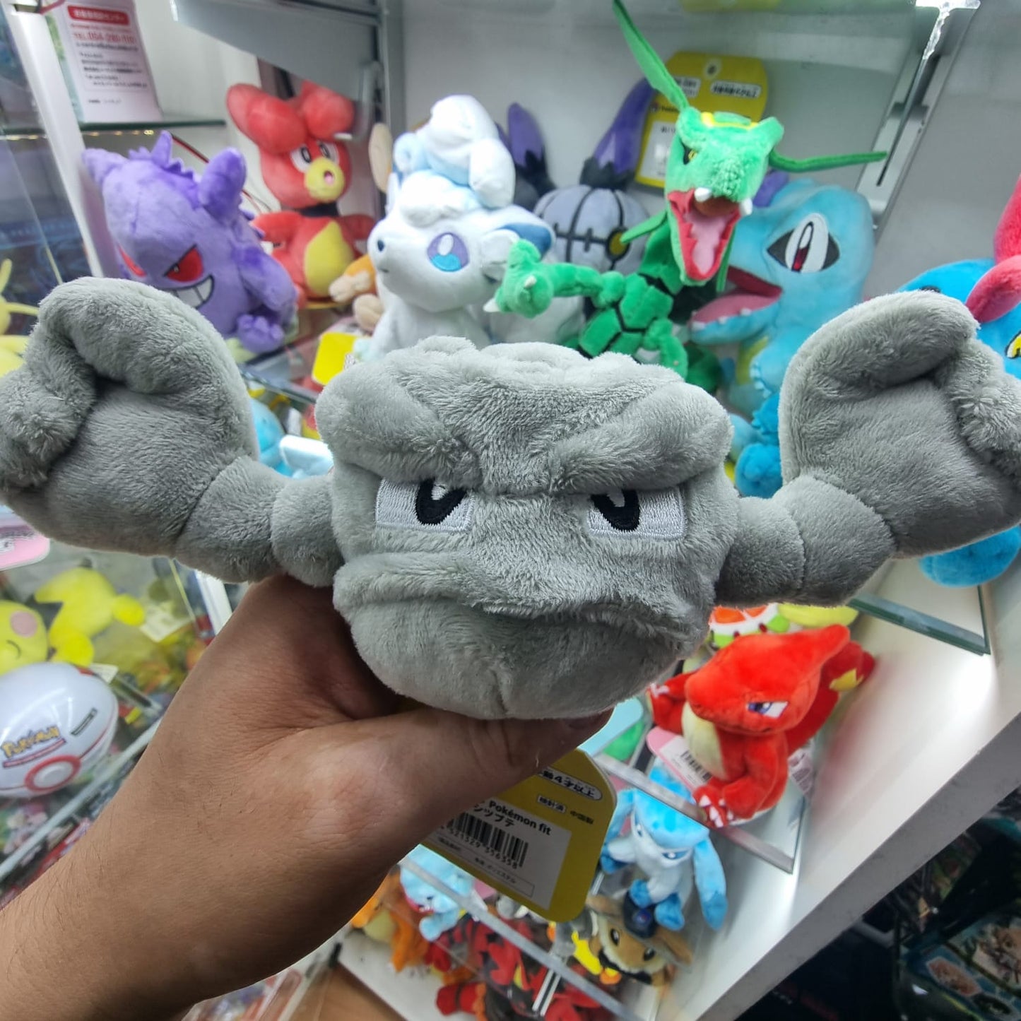 Peluche Pokemon Center Fit