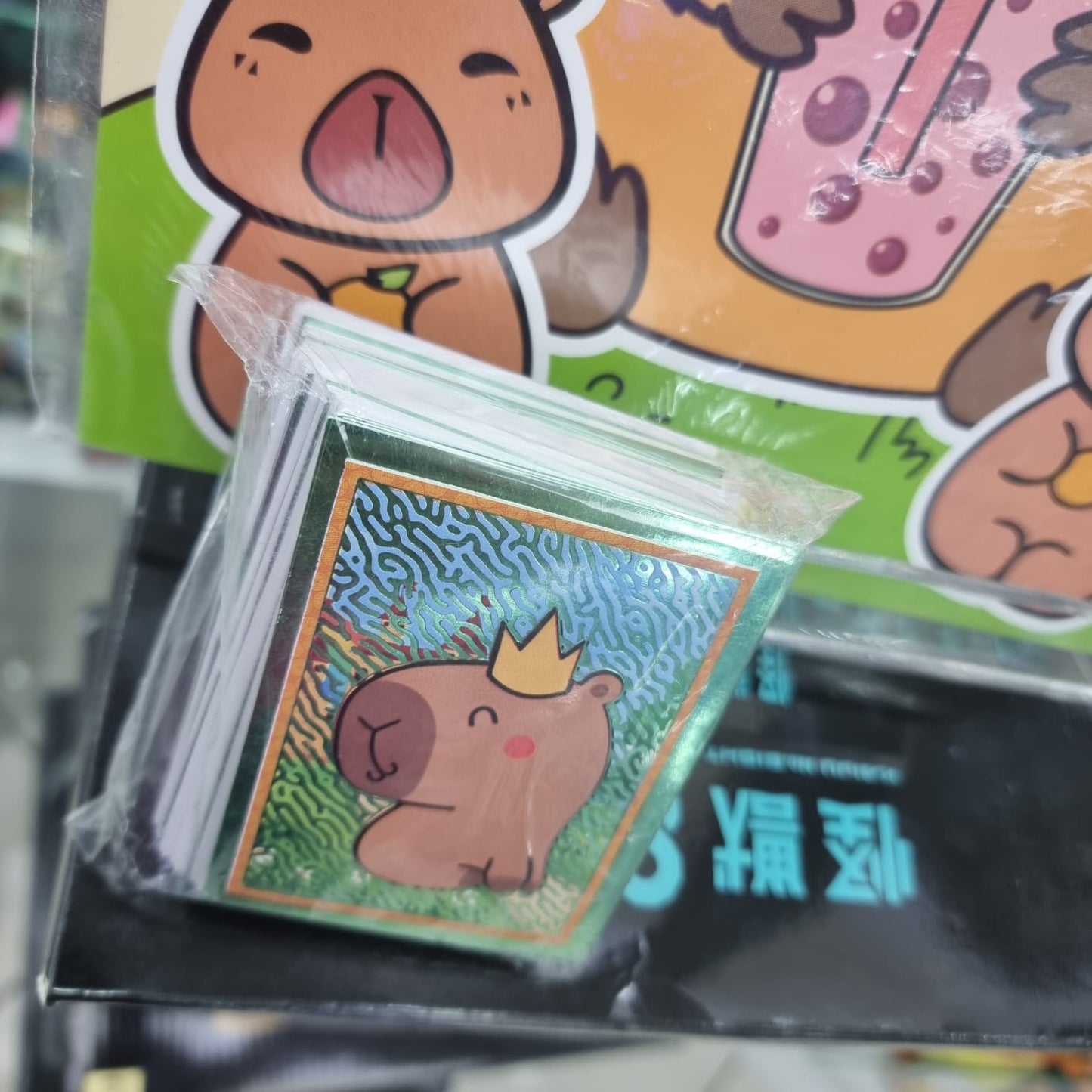 Album Capibara Wom