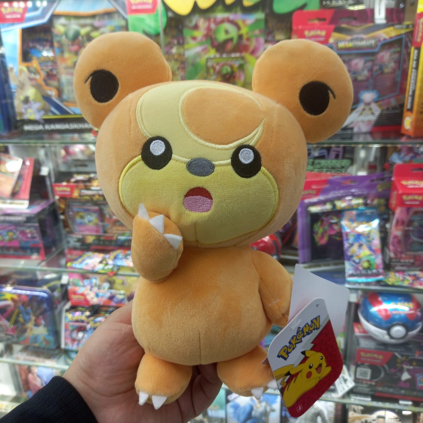Peluche Pokemon Teddiusar