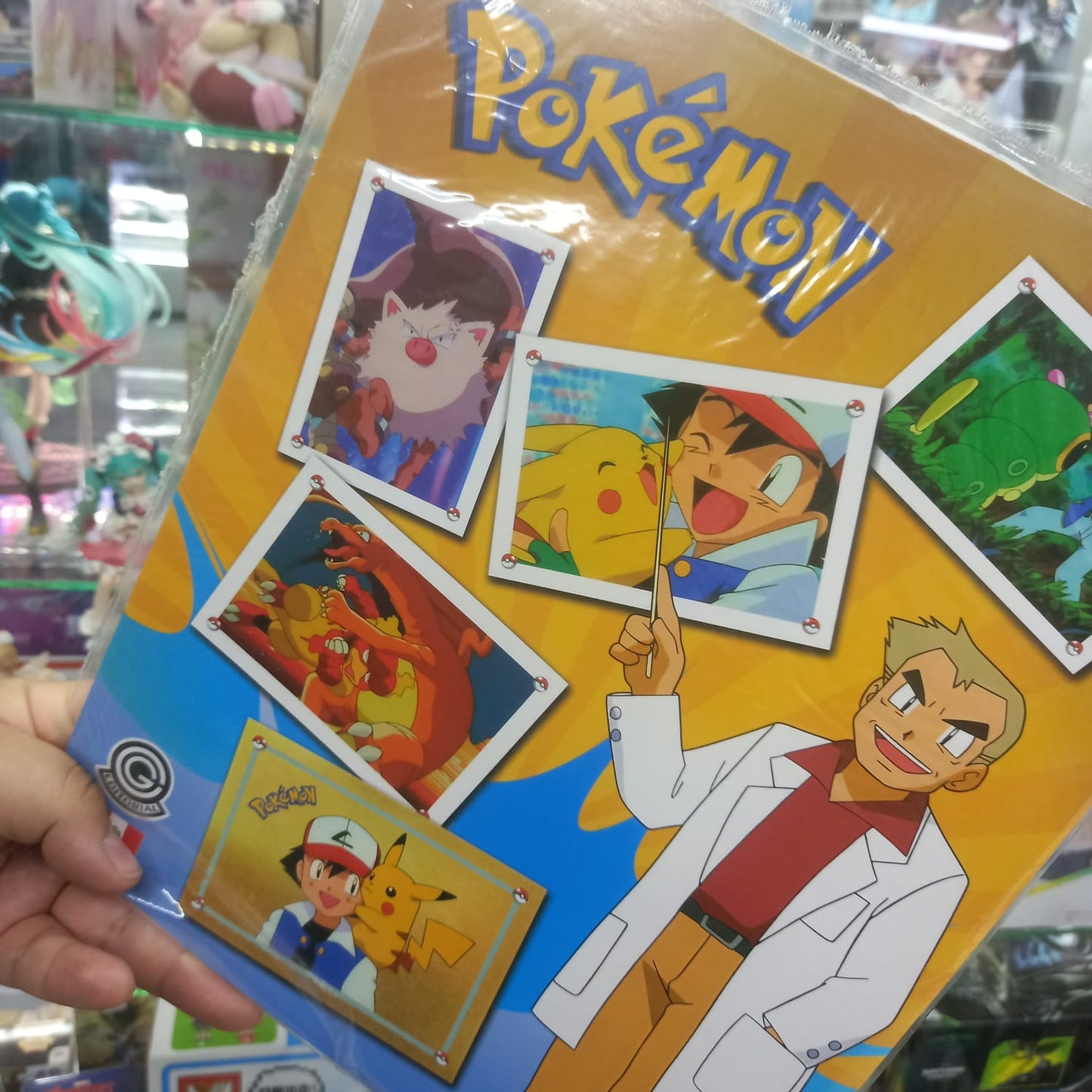 Album Pokemon Liga Naranjo