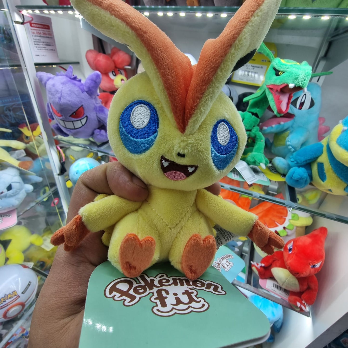 Peluche Pokemon Center Fit