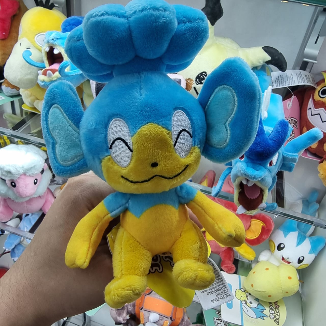 Peluche Pokemon Center Fit