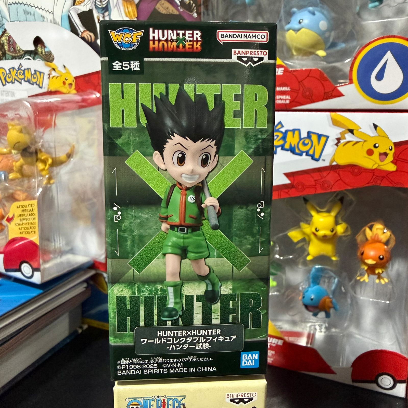 Figura WCF Hunter x Hunter