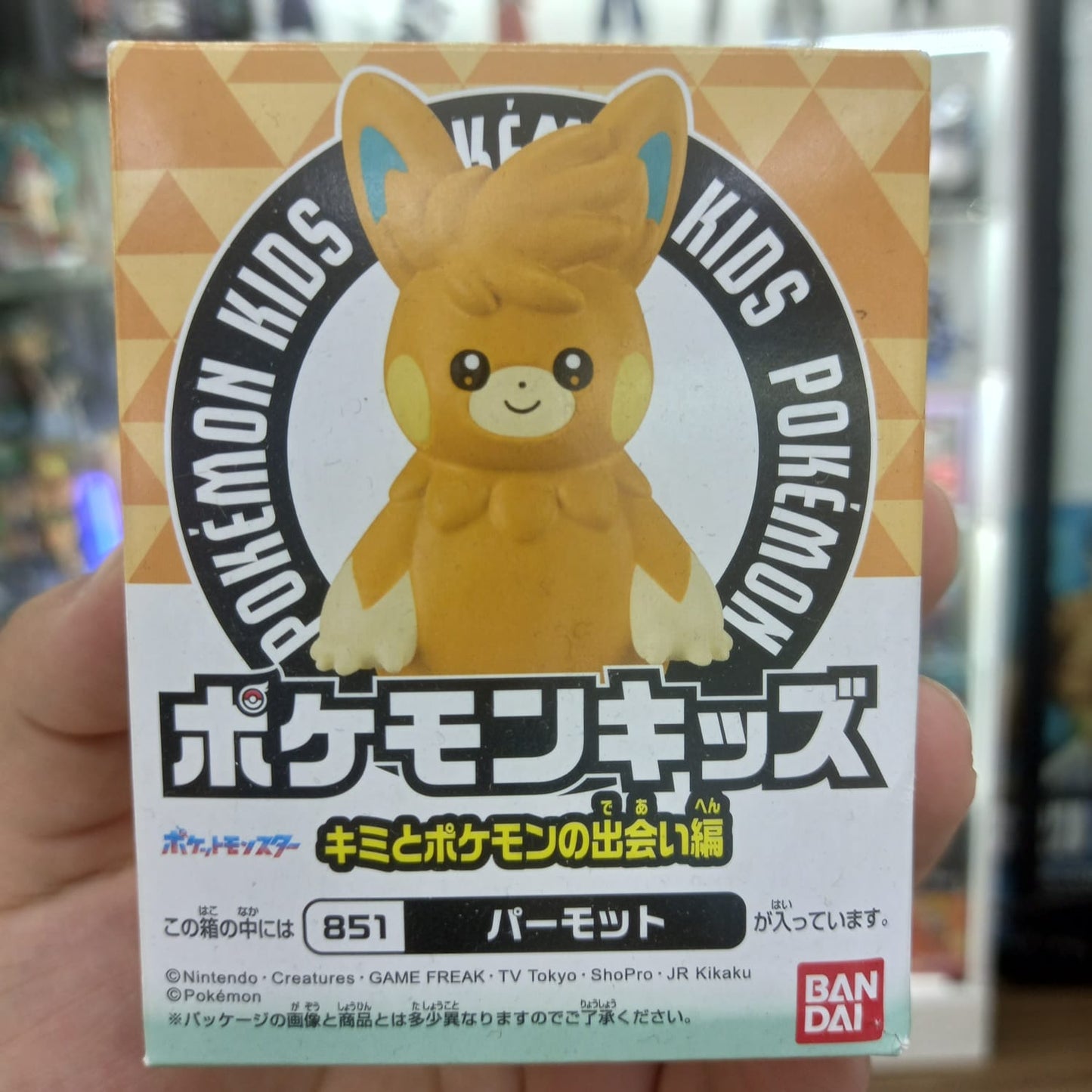 Bandai Kit Pokemon