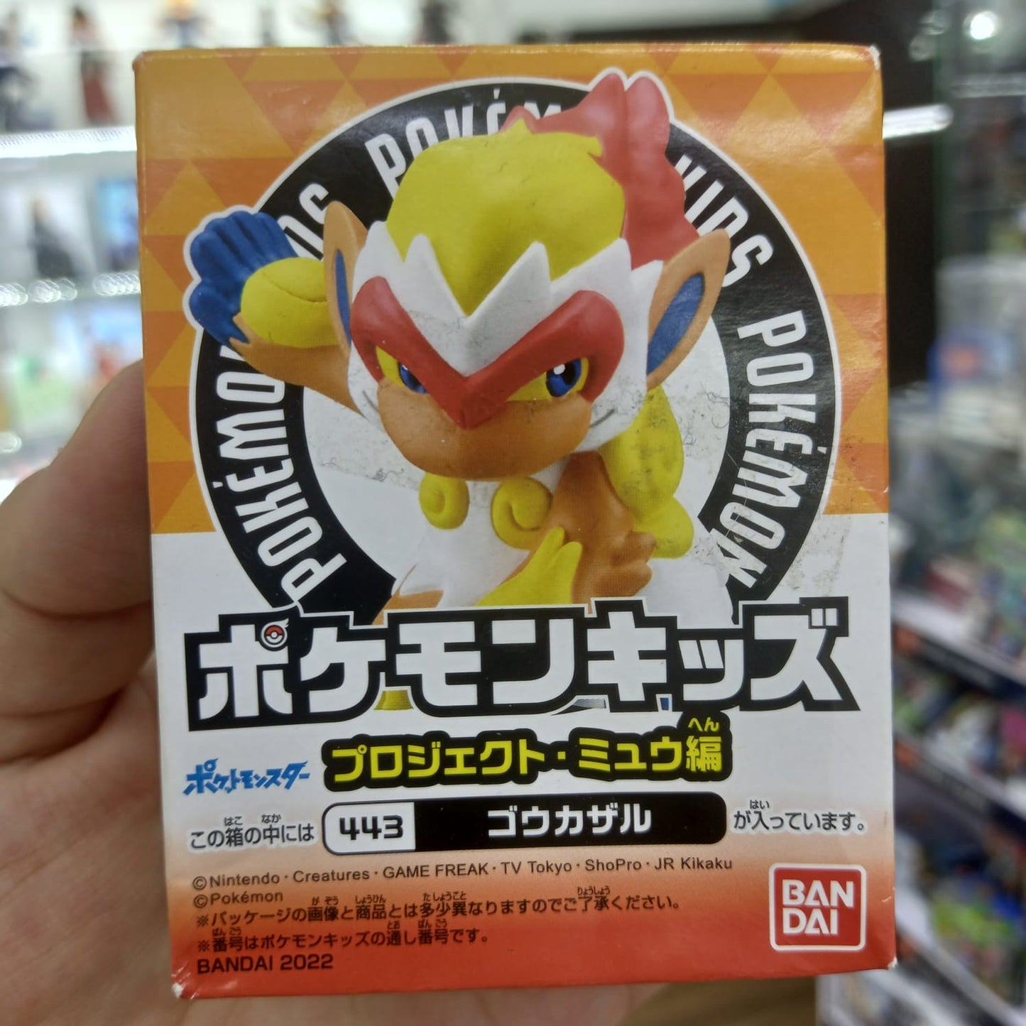 Bandai Kit Pokemon