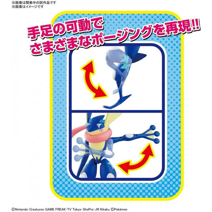 Model Kit Pokemon Greninja Agua
