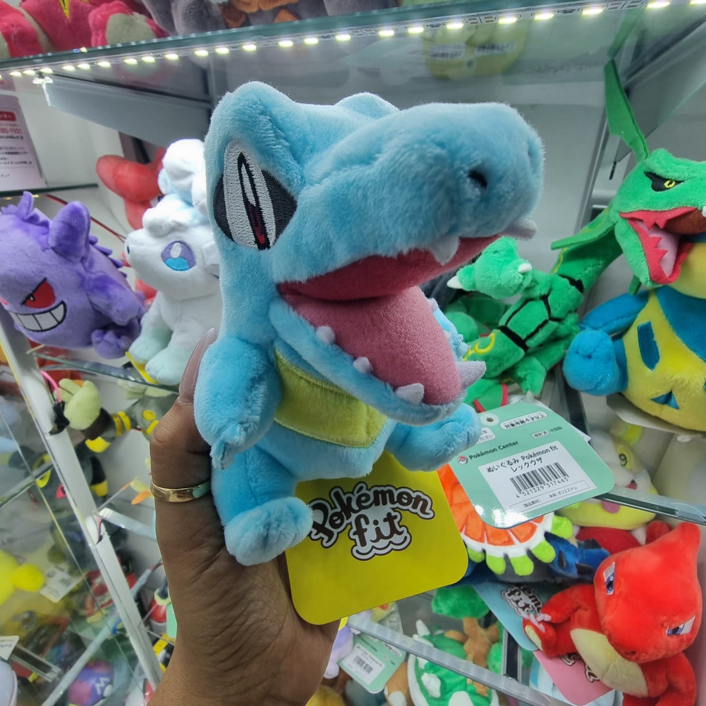 Peluche Pokemon Center Fit