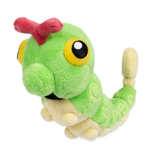 Peluche Pokemon Center  - Fit Caterpie