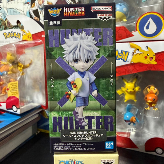Figura WCF Hunter x Hunter