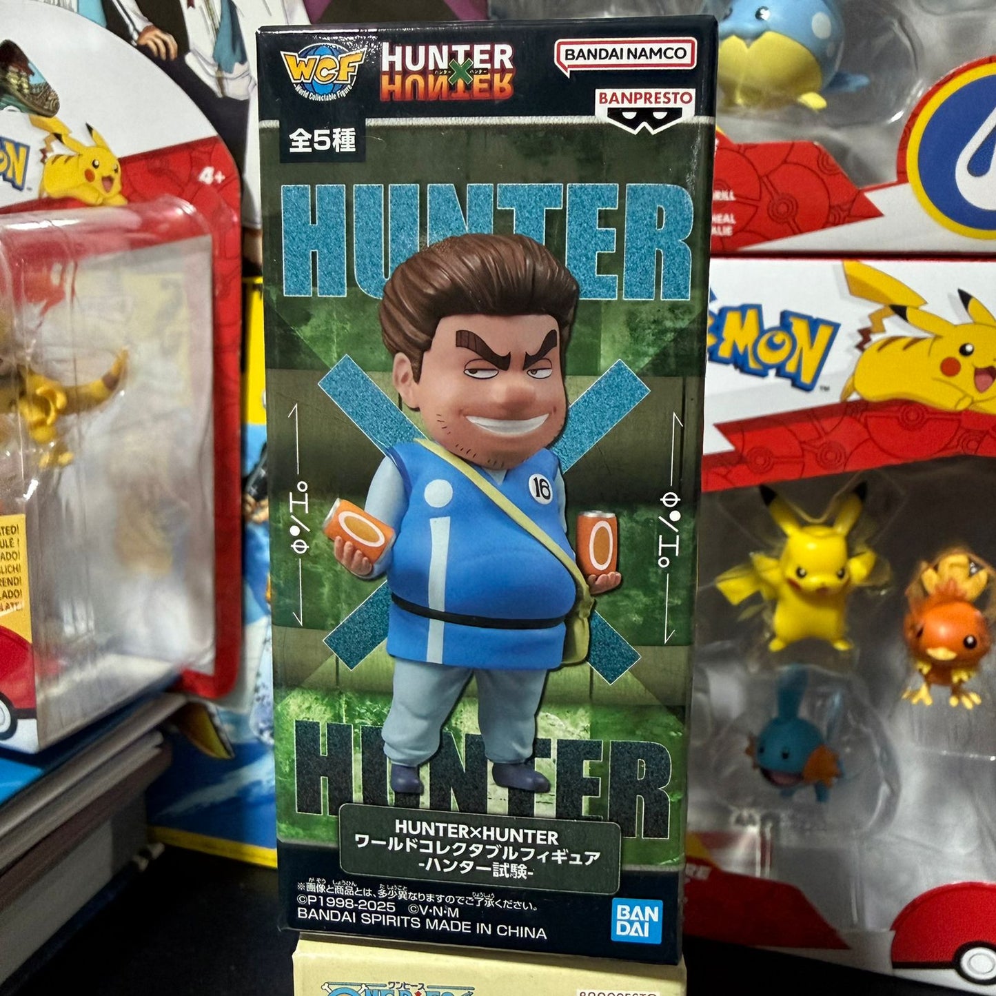 Figura WCF Hunter x Hunter