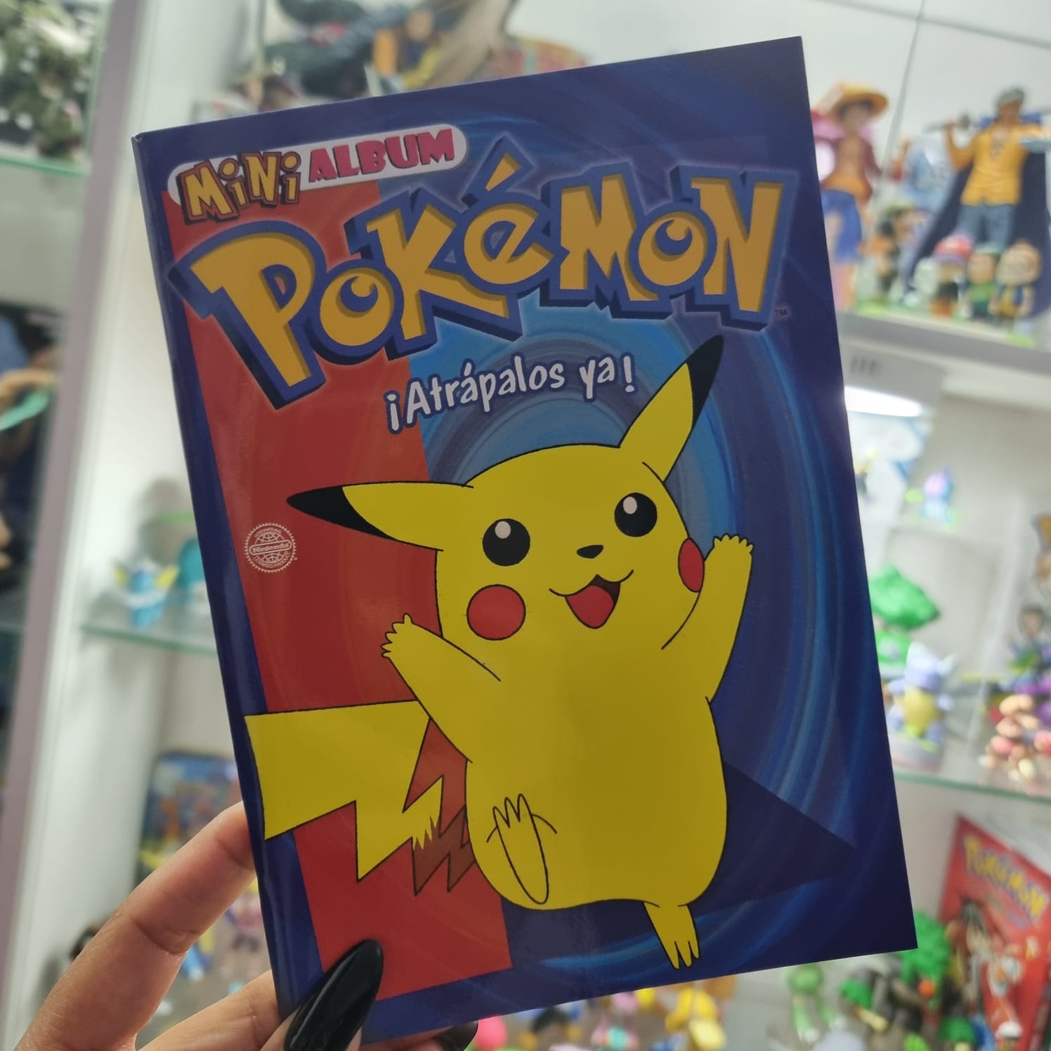 Album Mini Pokemon